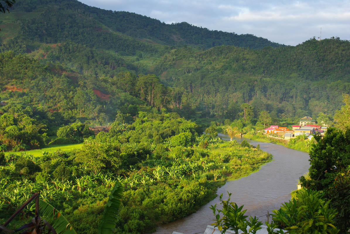 Ranomafana National Park - Hot springs & golden bamboo lemurs - Madagascar